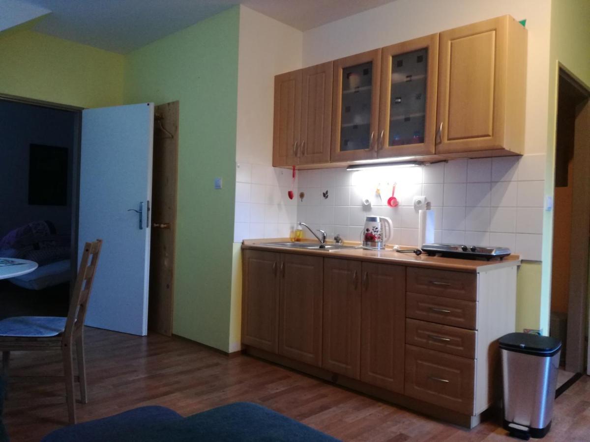 Apartmán Orbit Karlov  Kültér fotó